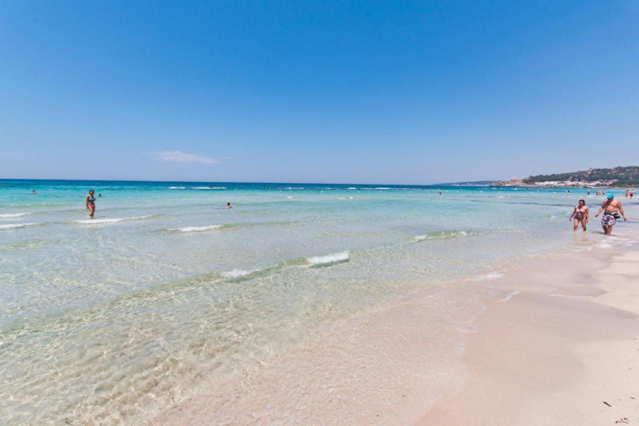 Delfino - Ampio Appartamento A 40 Metri Dalla Spiaggia Lido Conchiglia Exterior photo
